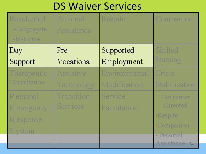 DS Waiver Services Residential -Congregate -In-Home Day Support Therapeutic Consultation P ersonal E mergency