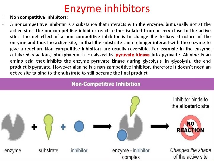  • • Enzyme inhibitors Non competitive Inhibitors: A noncompetitive inhibitor is a substance