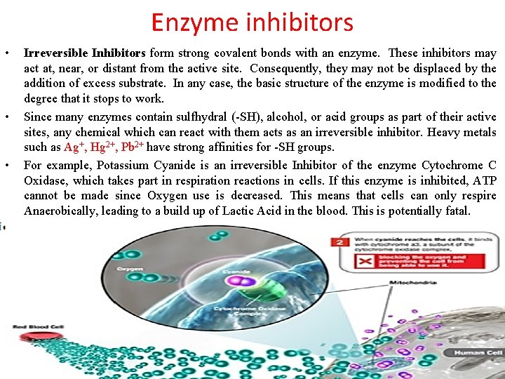 Enzyme inhibitors • • • Irreversible Inhibitors form strong covalent bonds with an enzyme.