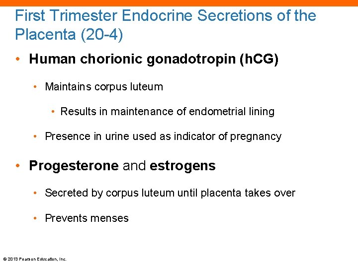 First Trimester Endocrine Secretions of the Placenta (20 -4) • Human chorionic gonadotropin (h.