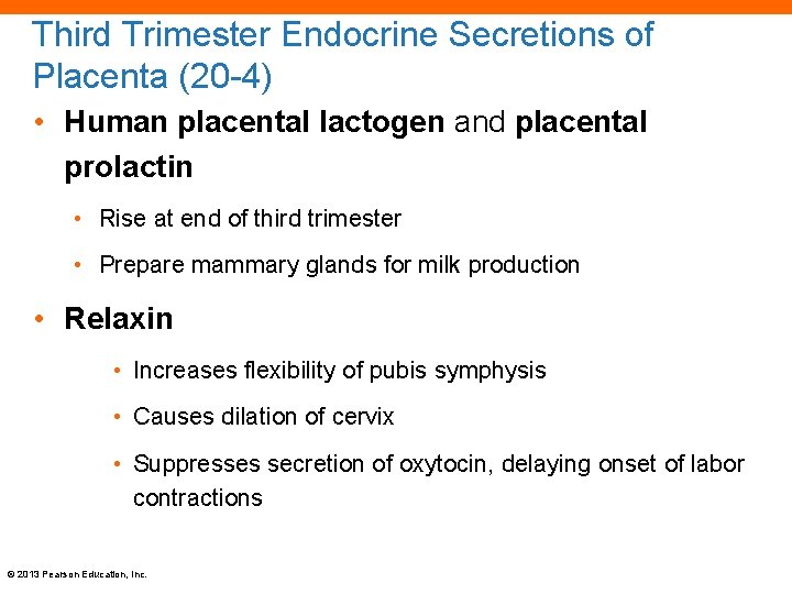 Third Trimester Endocrine Secretions of Placenta (20 -4) • Human placental lactogen and placental