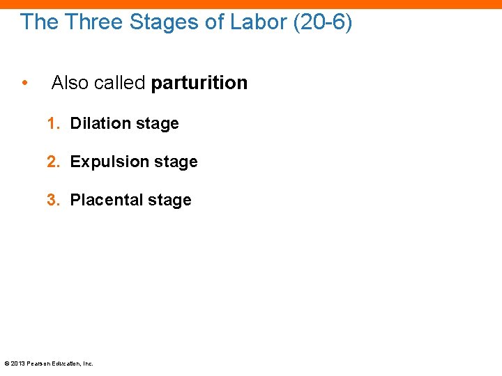 The Three Stages of Labor (20 -6) • Also called parturition 1. Dilation stage