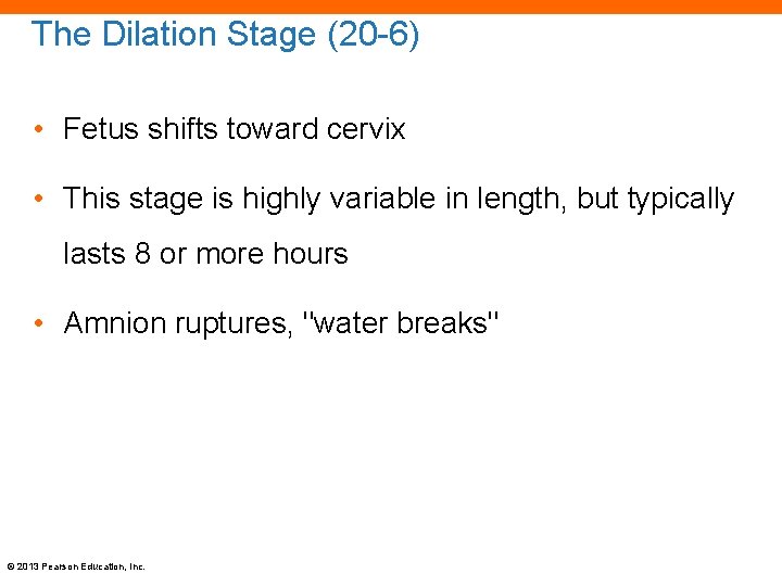 The Dilation Stage (20 -6) • Fetus shifts toward cervix • This stage is