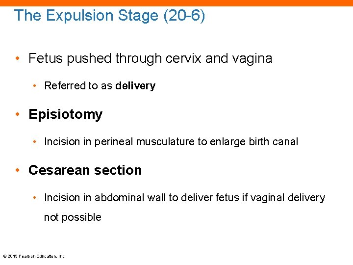 The Expulsion Stage (20 -6) • Fetus pushed through cervix and vagina • Referred