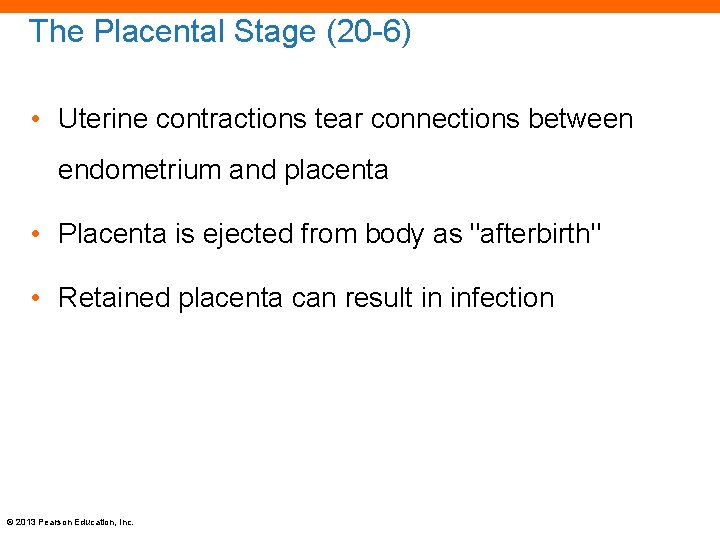 The Placental Stage (20 -6) • Uterine contractions tear connections between endometrium and placenta