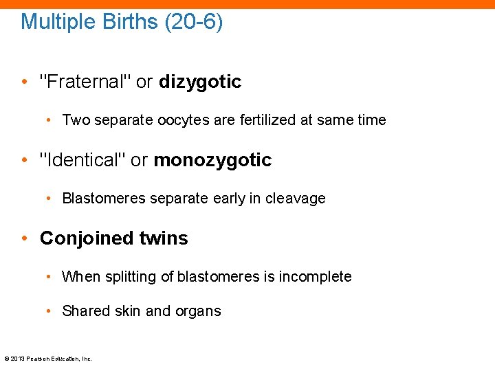 Multiple Births (20 -6) • "Fraternal" or dizygotic • Two separate oocytes are fertilized