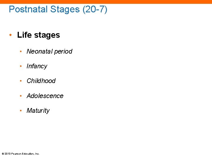 Postnatal Stages (20 -7) • Life stages • Neonatal period • Infancy • Childhood