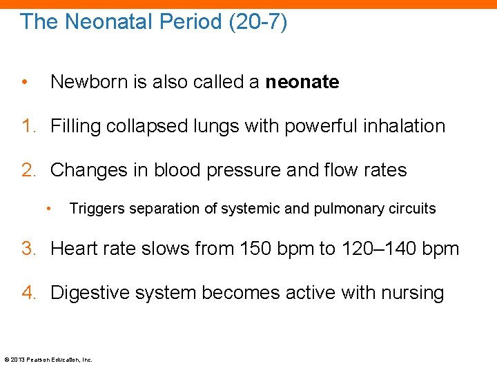 The Neonatal Period (20 -7) • Newborn is also called a neonate 1. Filling