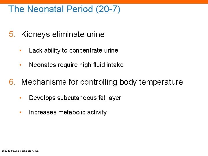 The Neonatal Period (20 -7) 5. Kidneys eliminate urine • Lack ability to concentrate