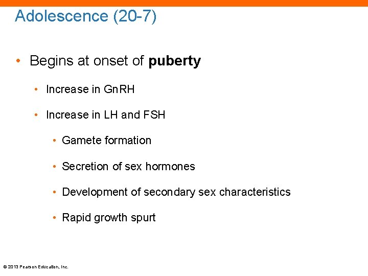 Adolescence (20 -7) • Begins at onset of puberty • Increase in Gn. RH