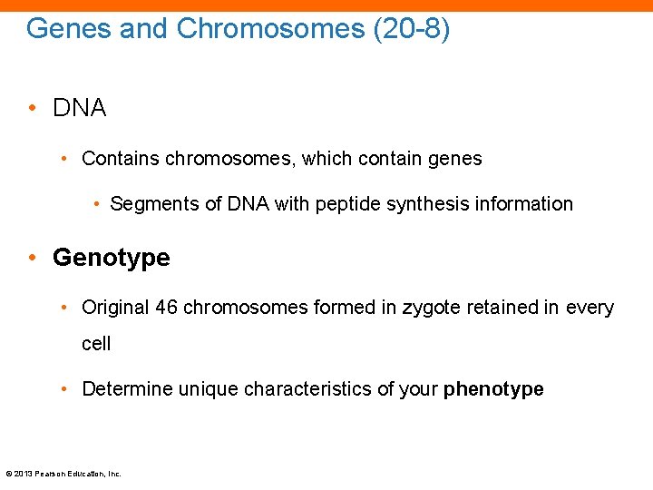 Genes and Chromosomes (20 -8) • DNA • Contains chromosomes, which contain genes •