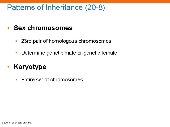 Patterns of Inheritance (20 -8) • Sex chromosomes • 23 rd pair of homologous