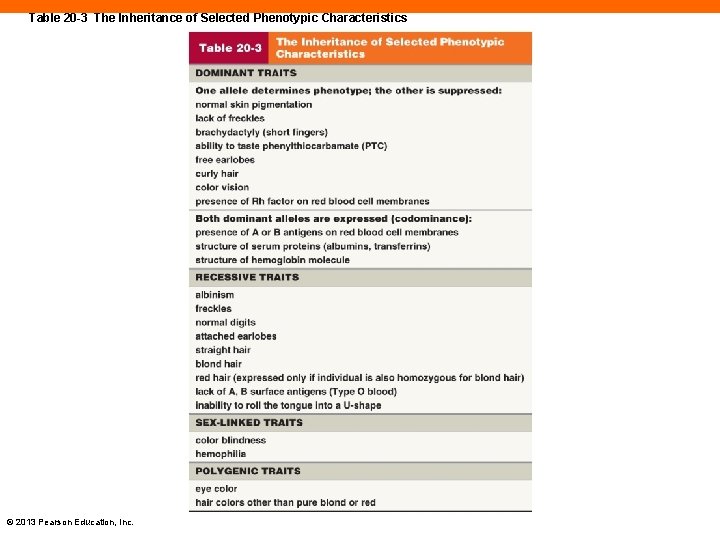 Table 20 -3 The Inheritance of Selected Phenotypic Characteristics © 2013 Pearson Education, Inc.