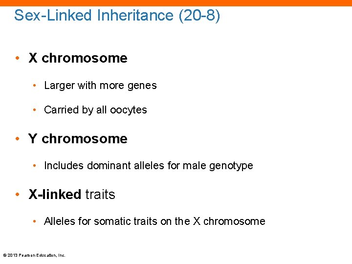 Sex-Linked Inheritance (20 -8) • X chromosome • Larger with more genes • Carried