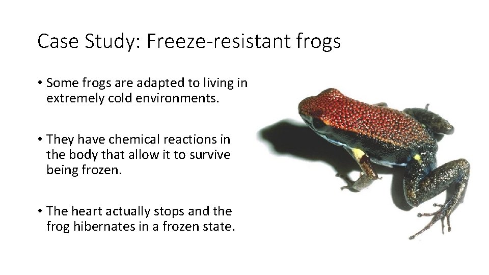Case Study: Freeze-resistant frogs • Some frogs are adapted to living in extremely cold