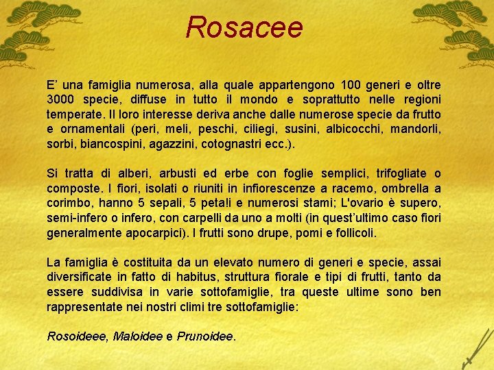 Rosacee E’ una famiglia numerosa, alla quale appartengono 100 generi e oltre 3000 specie,