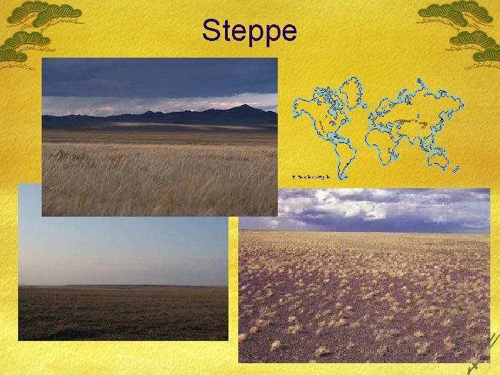 Steppe 