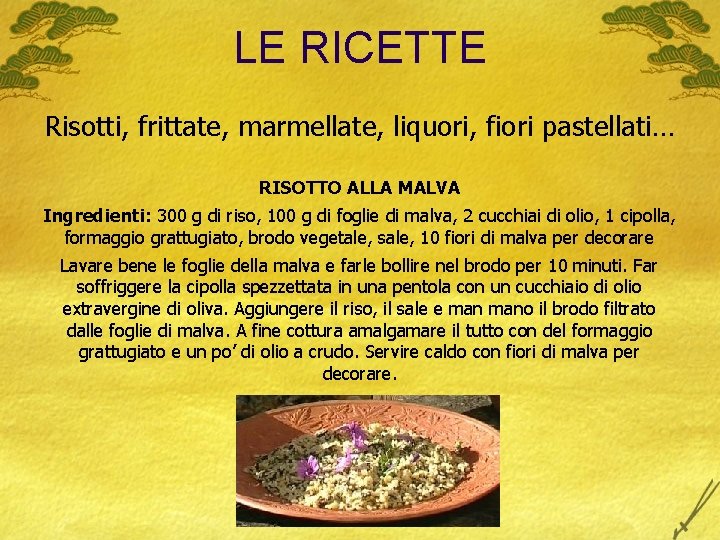 LE RICETTE Risotti, frittate, marmellate, liquori, fiori pastellati… RISOTTO ALLA MALVA Ingredienti: 300 g
