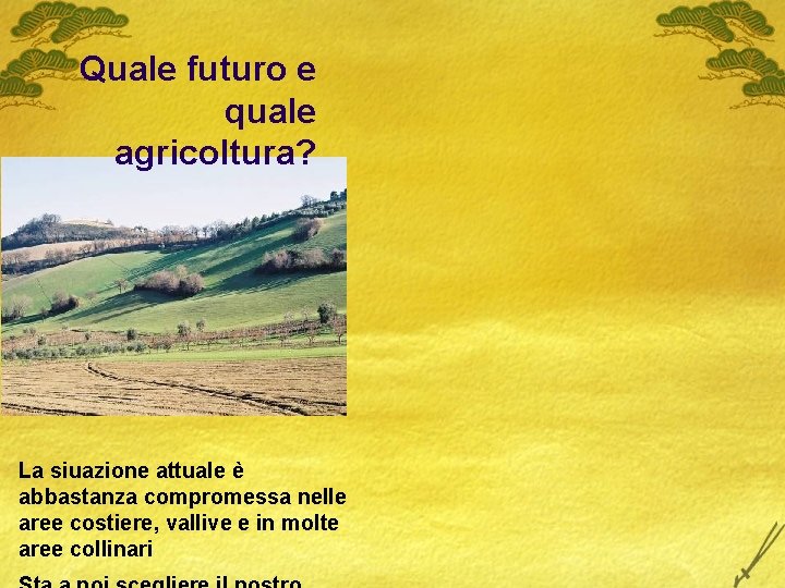 Quale futuro e quale agricoltura? La siuazione attuale è abbastanza compromessa nelle aree costiere,