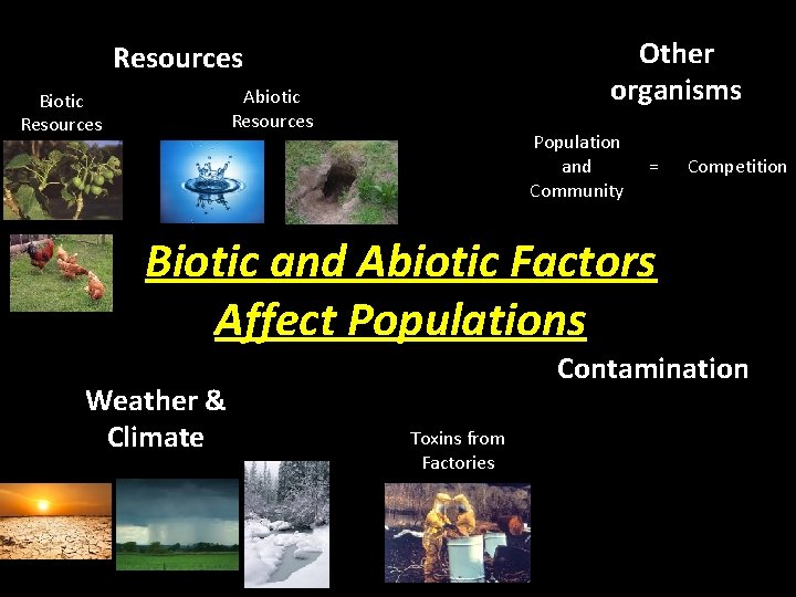 Other organisms Resources Abiotic Resources Biotic Resources Population and Community = Competition Biotic and