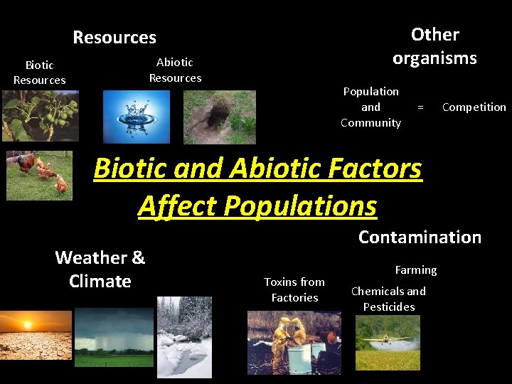 Other organisms Resources Abiotic Resources Biotic Resources Population and Community = Competition Biotic and