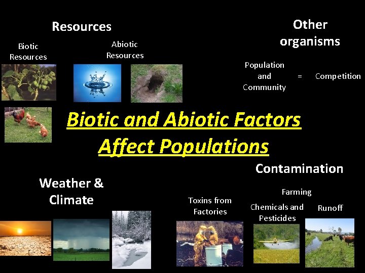 Other organisms Resources Abiotic Resources Biotic Resources Population and Community = Competition Biotic and