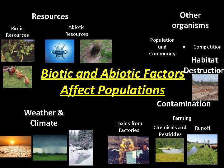 Other organisms Resources Abiotic Resources Biotic Resources Population and Community = Competition Habitat Destruction