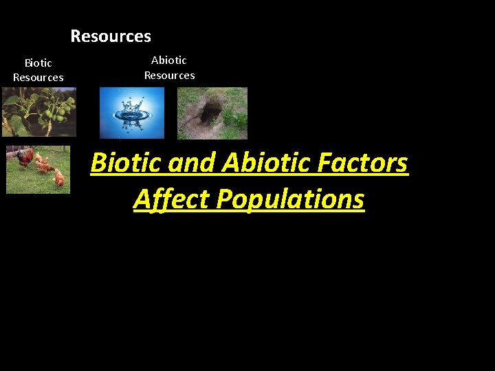 Resources Biotic Resources Abiotic Resources Biotic and Abiotic Factors Affect Populations Habitat destruction: 