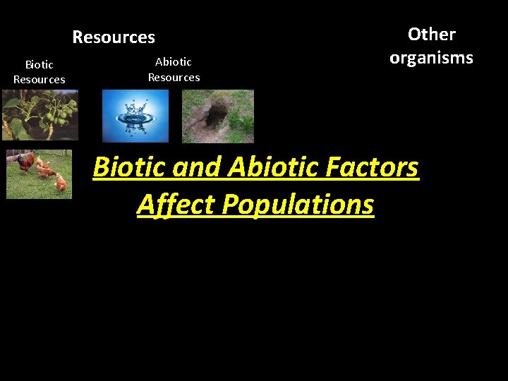 Other organisms Resources Biotic Resources Abiotic Resources Biotic and Abiotic Factors Affect Populations Habitat