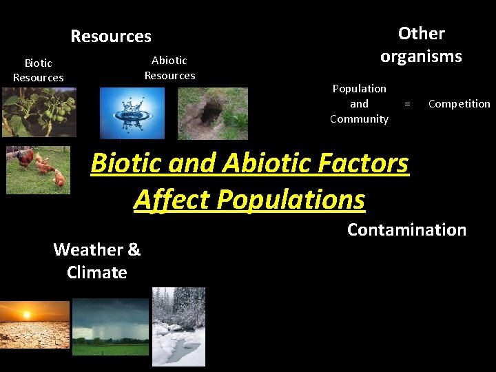 Other organisms Resources Abiotic Resources Biotic Resources Population and Community = Competition Biotic and