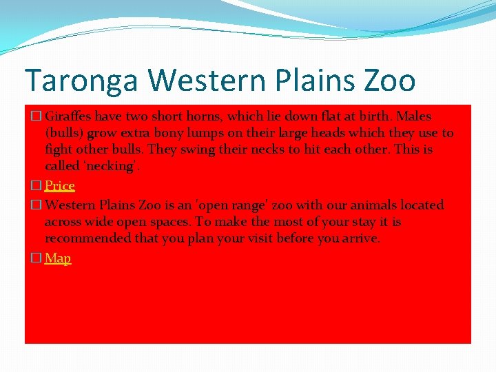 Taronga Western Plains Zoo � Giraffes have two short horns, which lie down flat