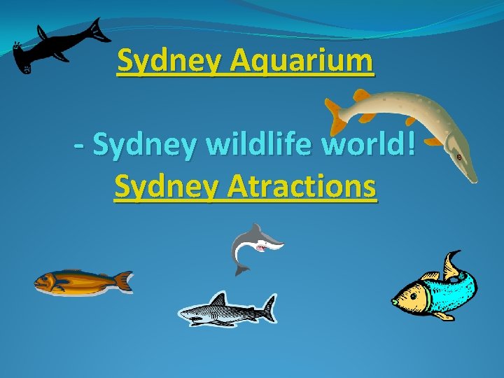 Sydney Aquarium - Sydney wildlife world! Sydney Atractions 