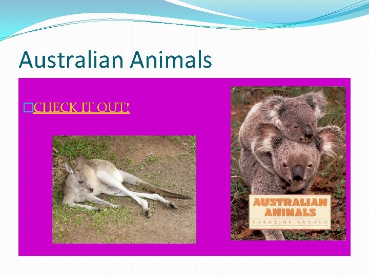 Australian Animals �CHECK IT OUT! 