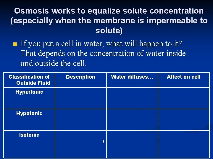Osmosis works to equalize solute concentration (especially when the membrane is impermeable to solute)