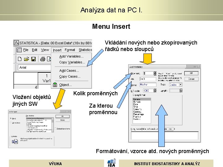 Analýza dat na PC I. Menu Insert Vkládání nových nebo zkopírovaných řádků nebo sloupců Analýza dat na PC I. Menu Insert Vkládání nových nebo zkopírovaných řádků nebo sloupců