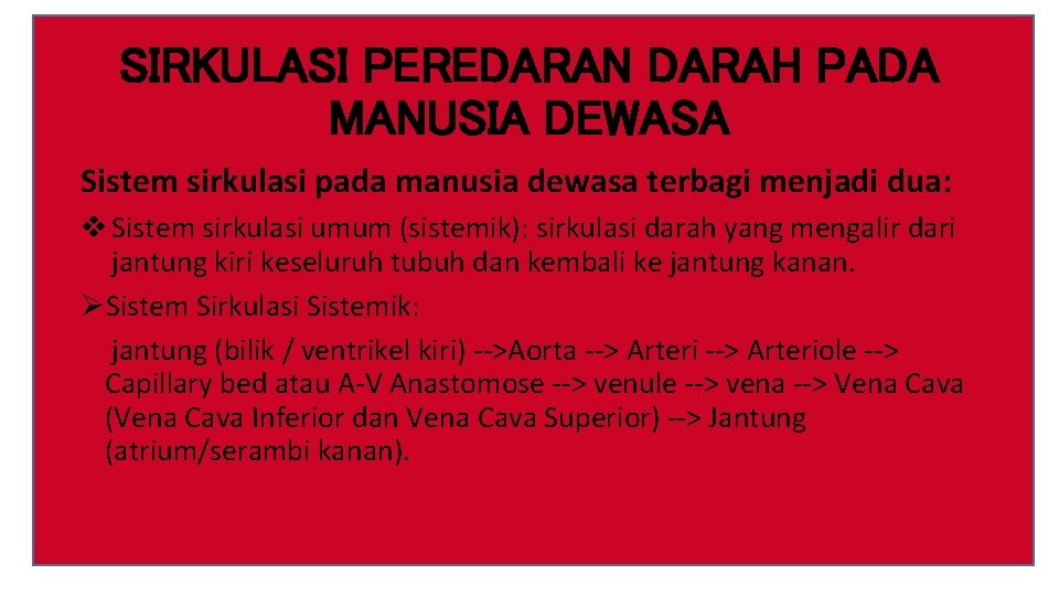 SIRKULASI PEREDARAN DARAH PADA MANUSIA DEWASA Sistem sirkulasi pada manusia dewasa terbagi menjadi dua: