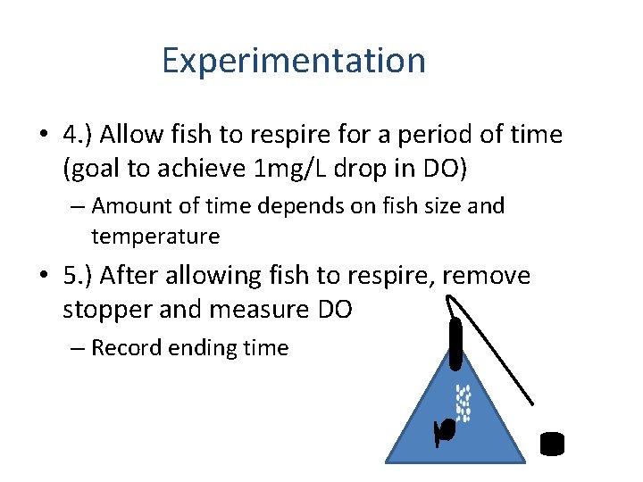 Experimentation • 4. ) Allow fish to respire for a period of time (goal