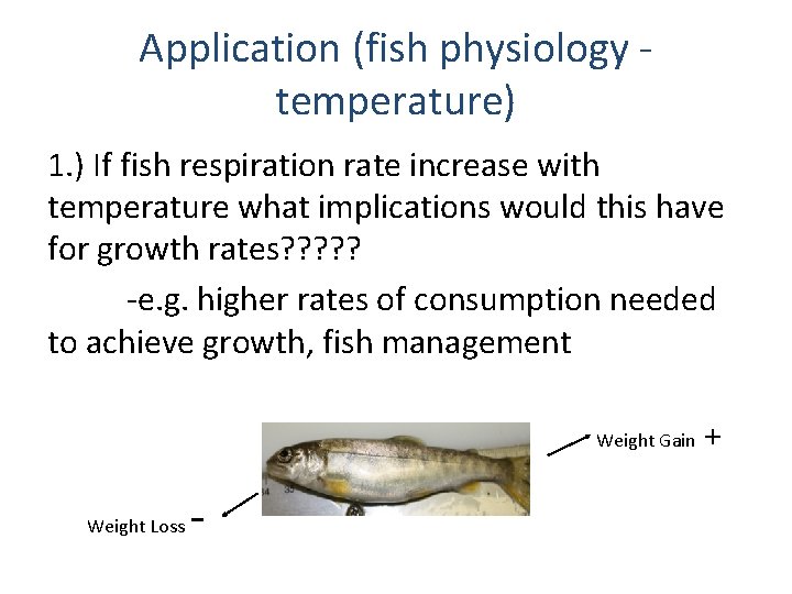 Application (fish physiology temperature) 1. ) If fish respiration rate increase with temperature what