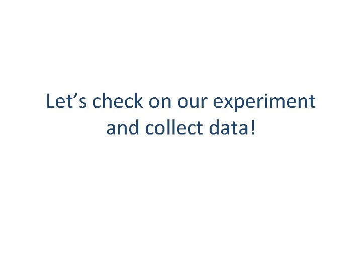 Let’s check on our experiment and collect data! 