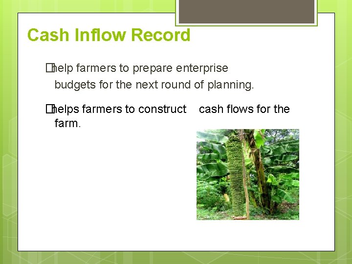 Cash Inflow Record �help farmers to prepare enterprise budgets for the next round of