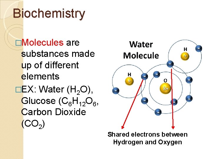 Biochemistry �Molecules are substances made up of different elements �EX: Water (H 2 O), Biochemistry �Molecules are substances made up of different elements �EX: Water (H 2 O),