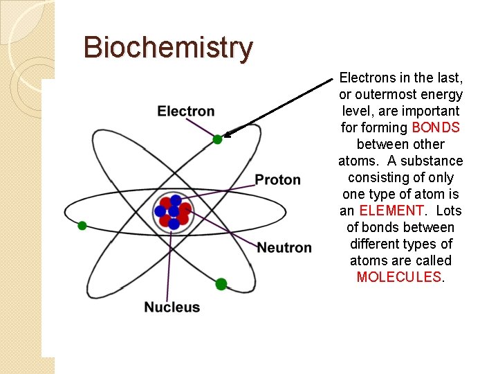 Biochemistry Electrons in the last, or outermost energy level, are important forming BONDS between Biochemistry Electrons in the last, or outermost energy level, are important forming BONDS between