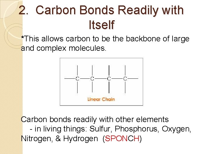 2. Carbon Bonds Readily with Itself *This allows carbon to be the backbone of 2. Carbon Bonds Readily with Itself *This allows carbon to be the backbone of
