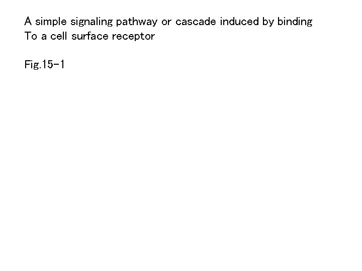 A simple signaling pathway or cascade induced by binding To a cell surface receptor