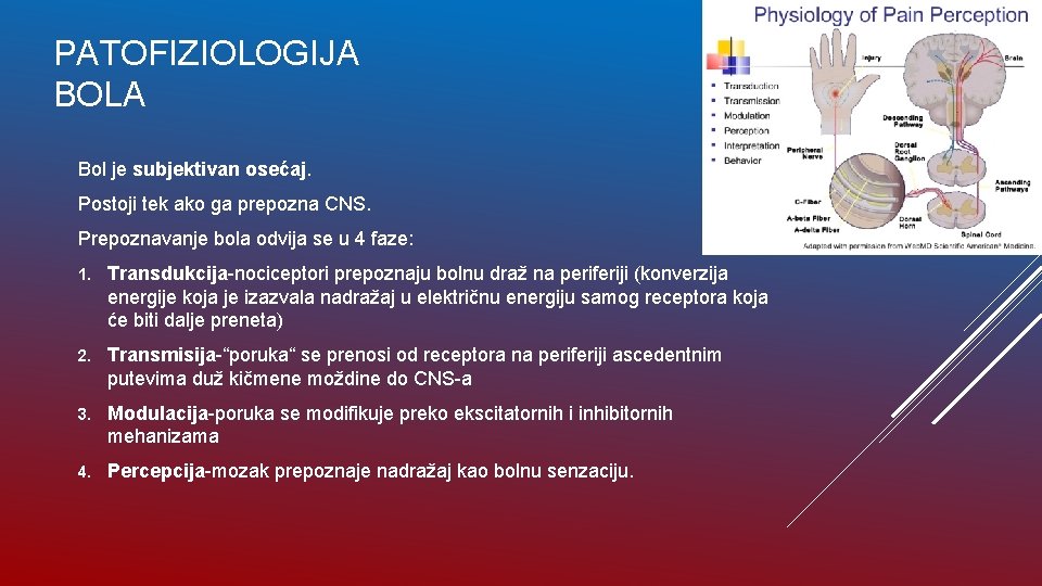 PATOFIZIOLOGIJA BOLA Bol je subjektivan osećaj. Postoji tek ako ga prepozna CNS. Prepoznavanje bola