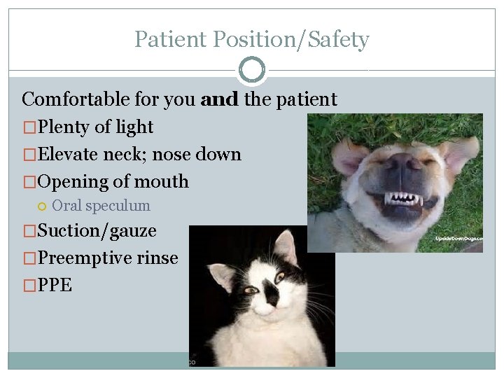 Patient Position/Safety Comfortable for you and the patient �Plenty of light �Elevate neck; nose