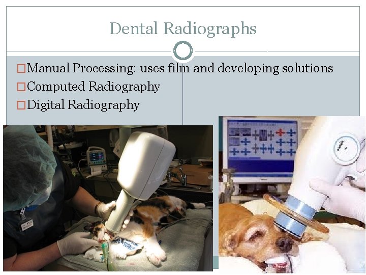 Dental Radiographs �Manual Processing: uses film and developing solutions �Computed Radiography �Digital Radiography 