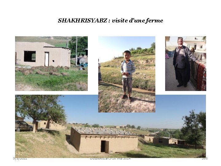 SHAKHRISYABZ : visite d’une ferme 9/3/2021 Ouzbékistan 2 -16 mai 2014 266 
