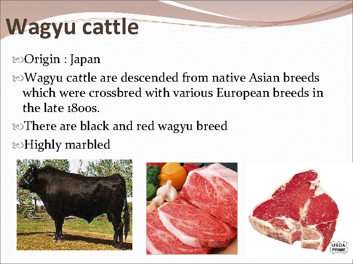 Wagyu cattle Origin : Japan Wagyu cattle are descended from native Asian breeds which