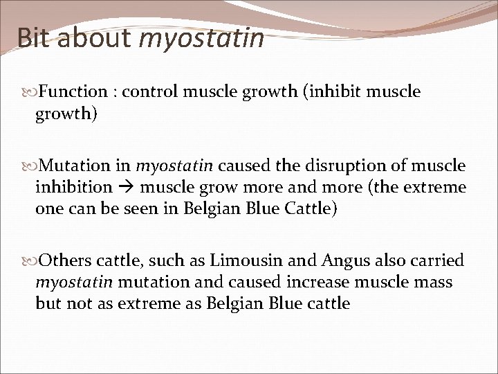 Bit about myostatin Function : control muscle growth (inhibit muscle growth) Mutation in myostatin